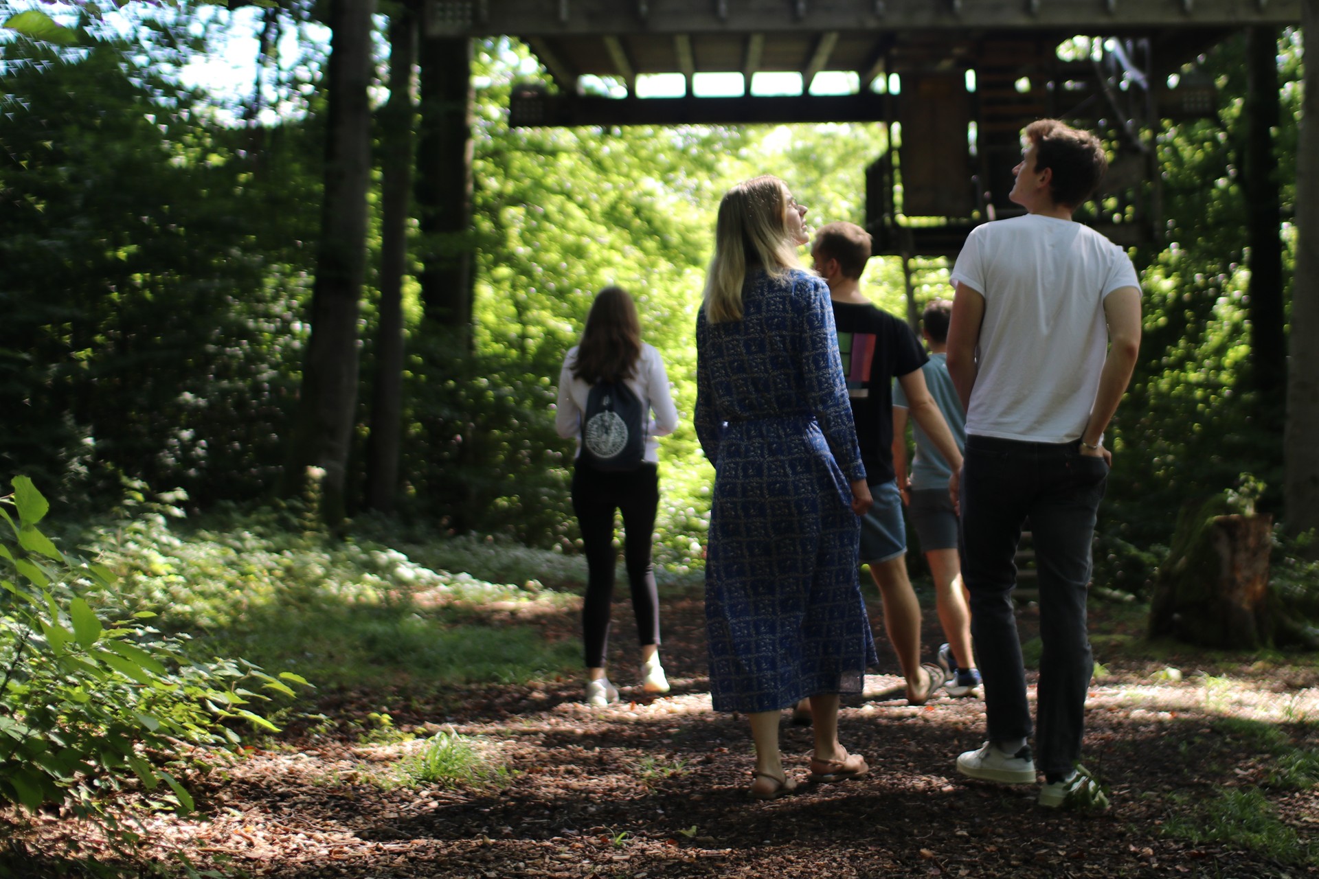 Studierende auf einem Waldspaziergang